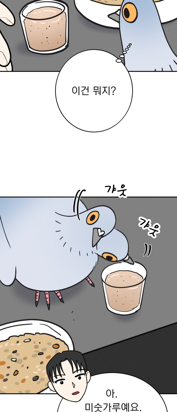 18 페이지
