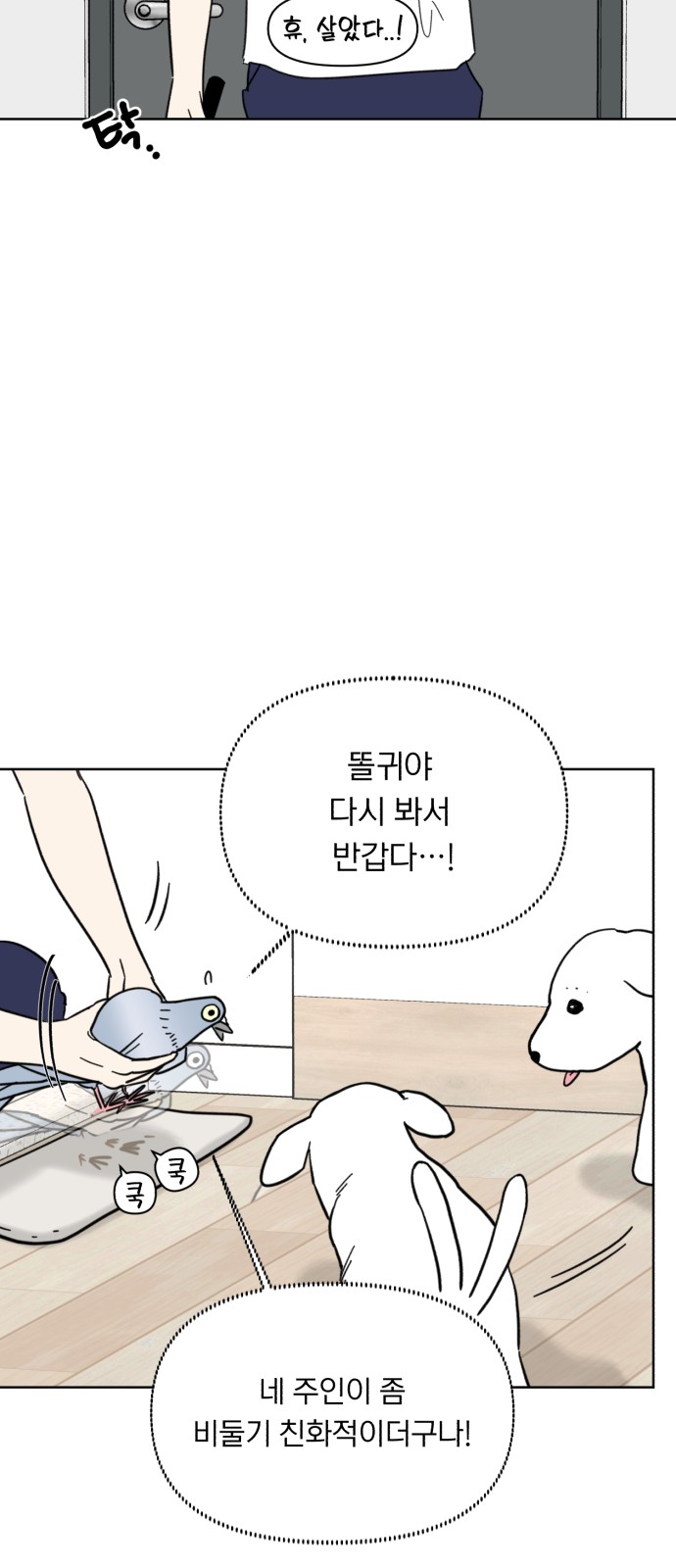 11 페이지