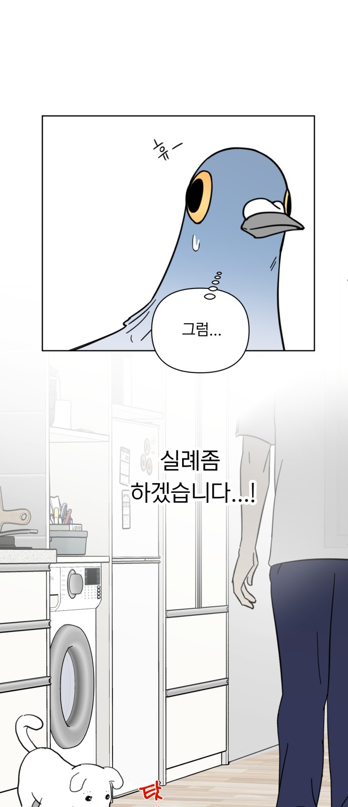 12 페이지