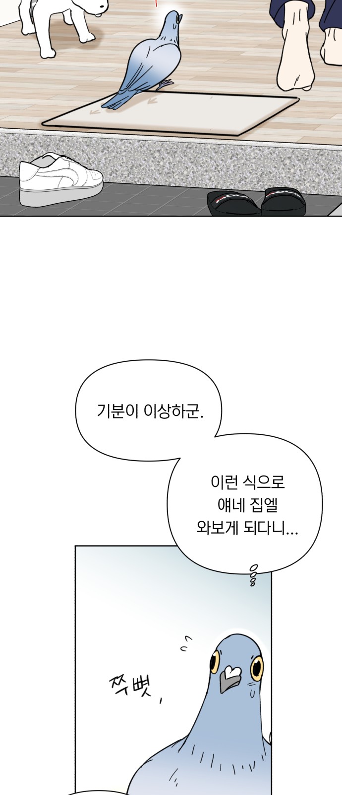 13 페이지