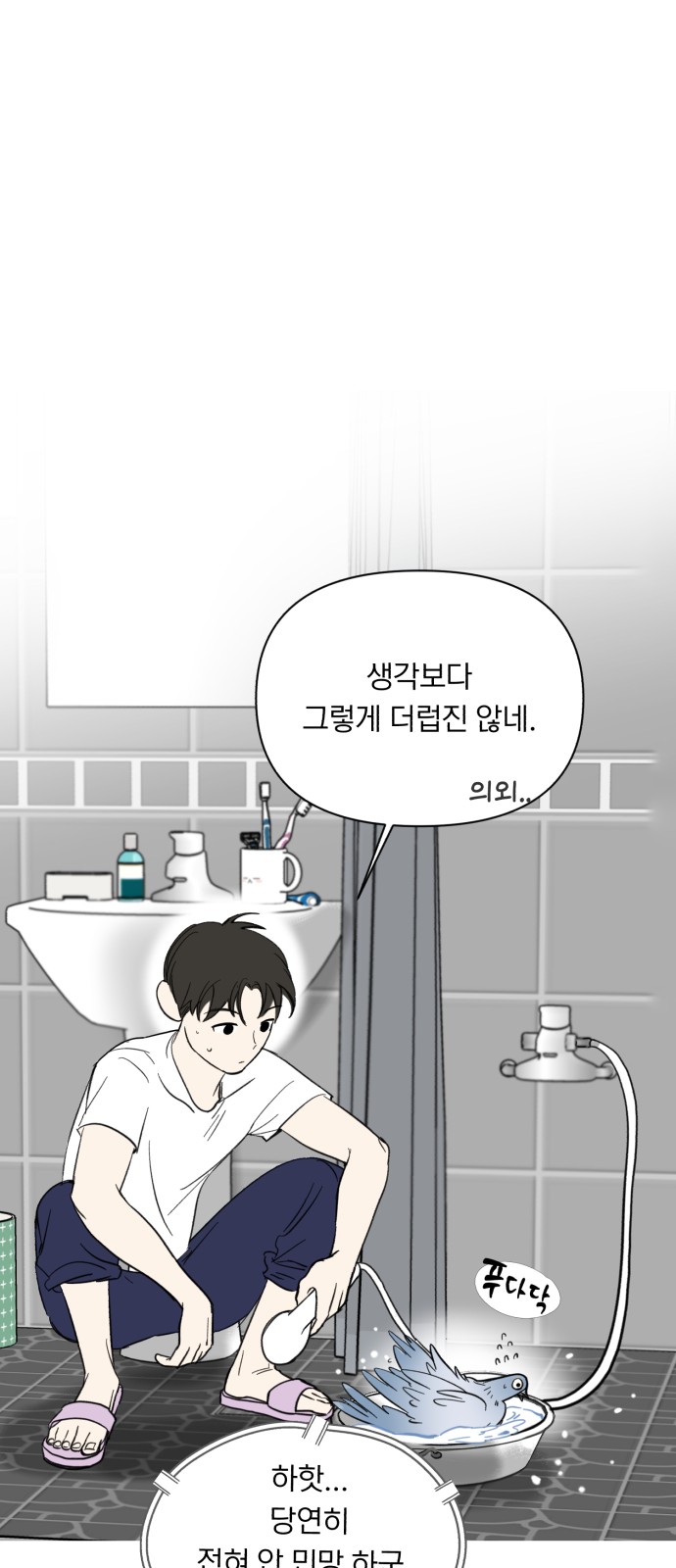 26 페이지