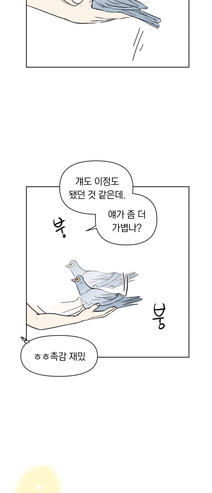 34 페이지