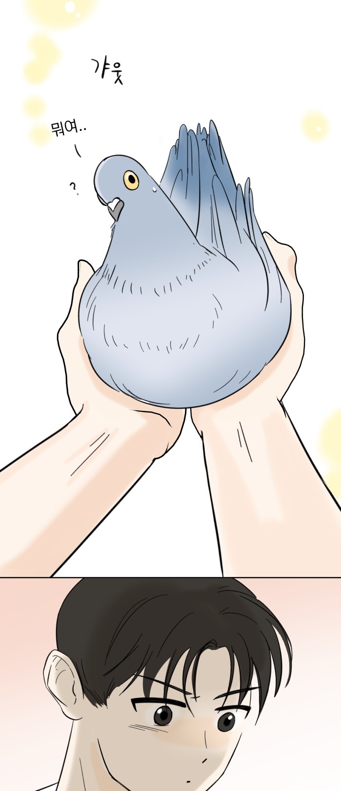 35 페이지