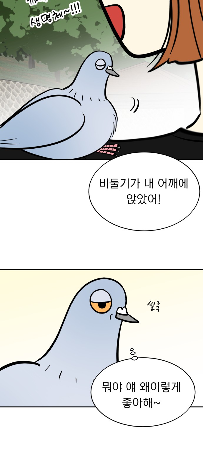 43 페이지