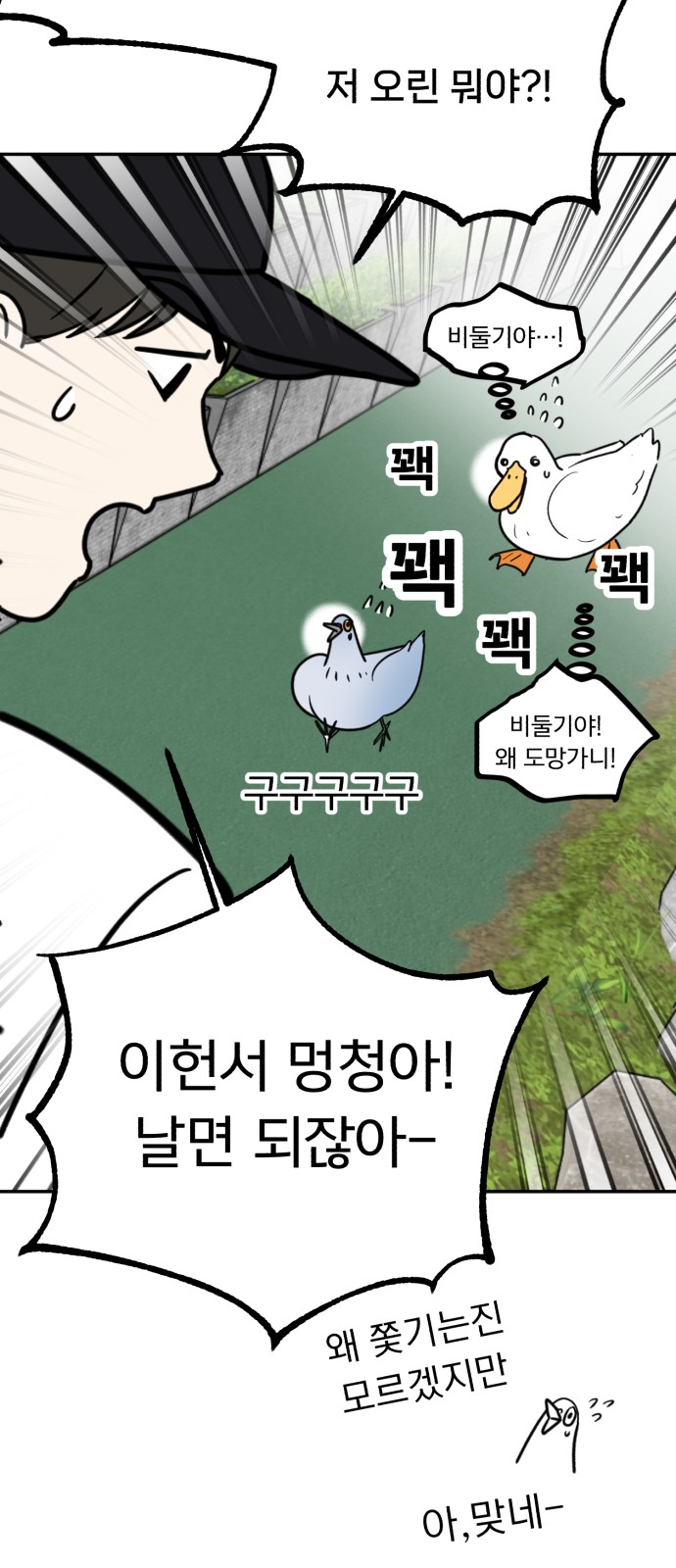 62 페이지