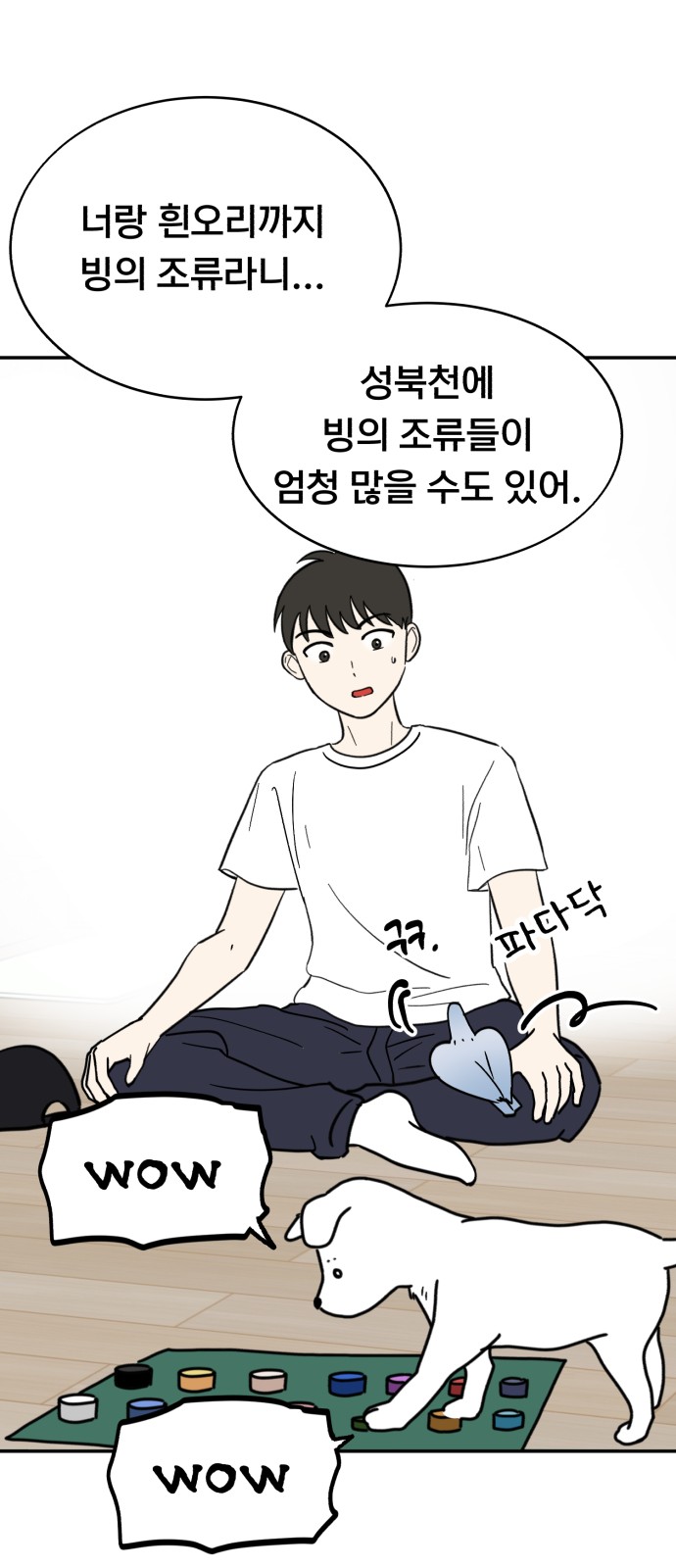 20 페이지