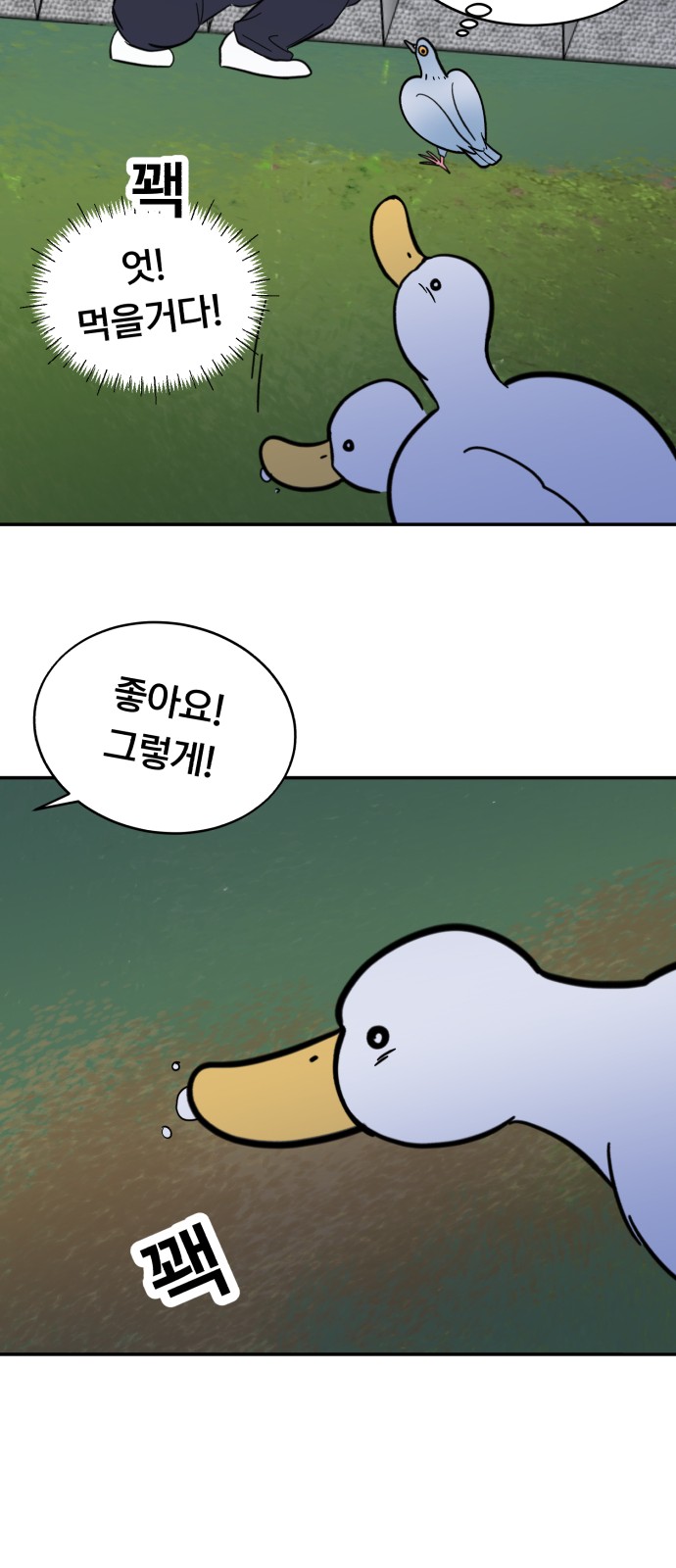 34 페이지