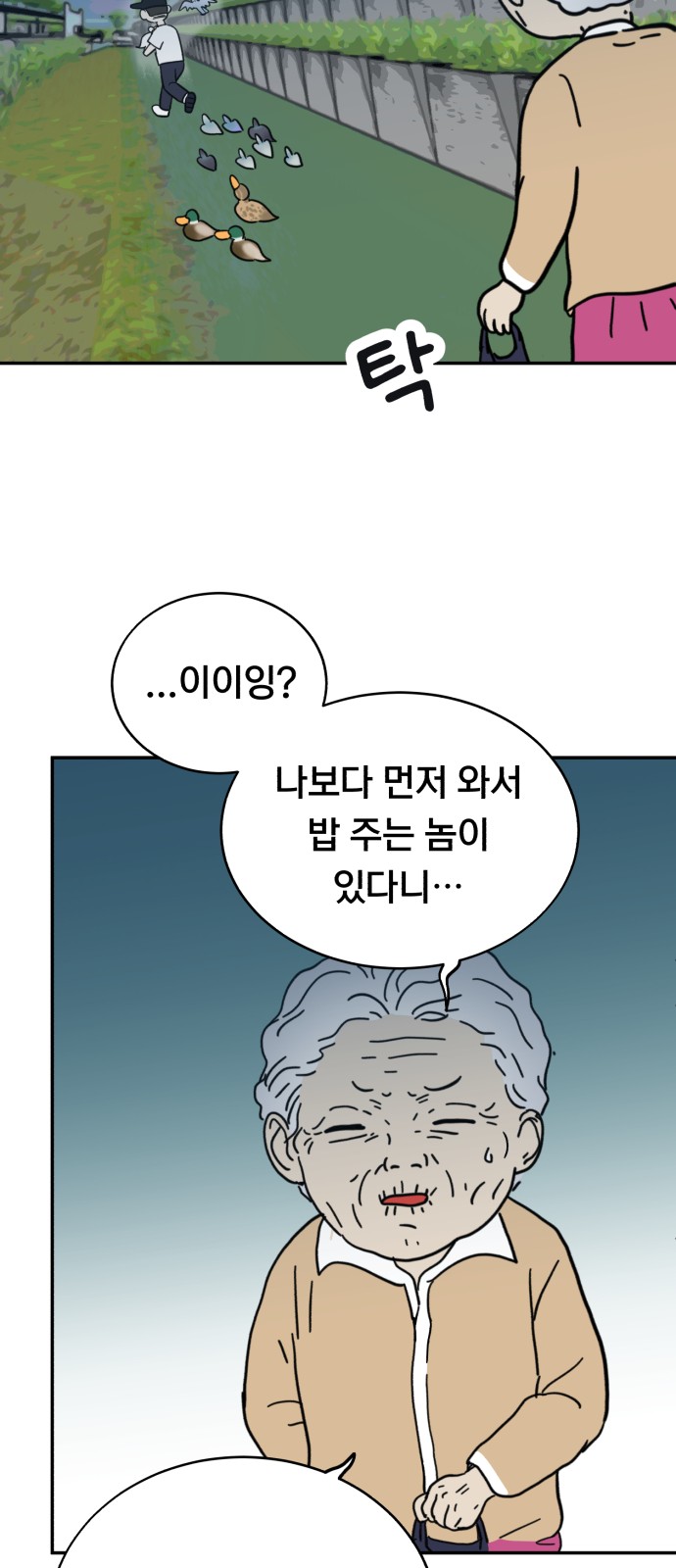40 페이지