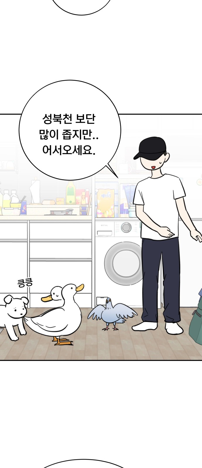 44 페이지