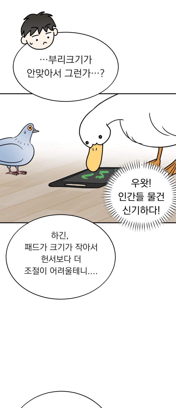 12 페이지