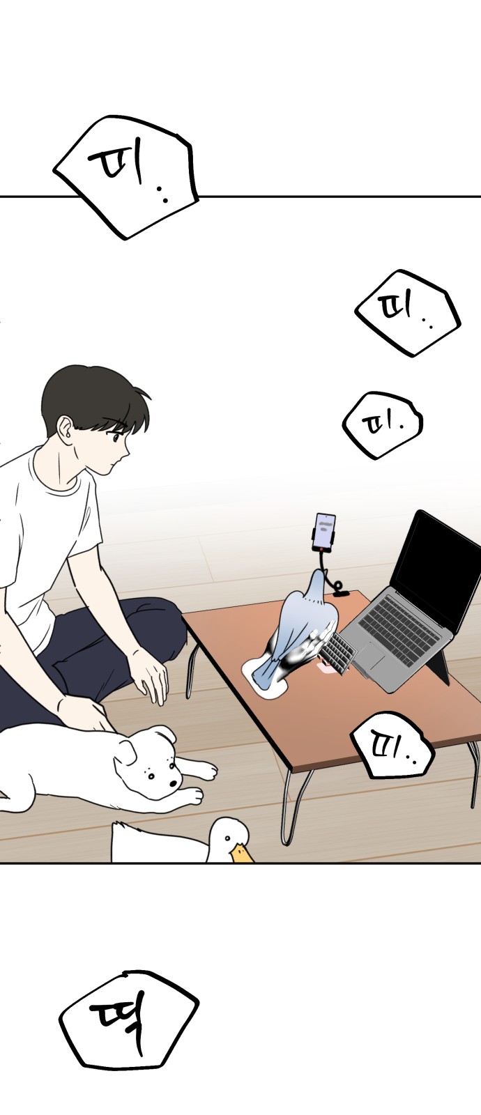 17 페이지
