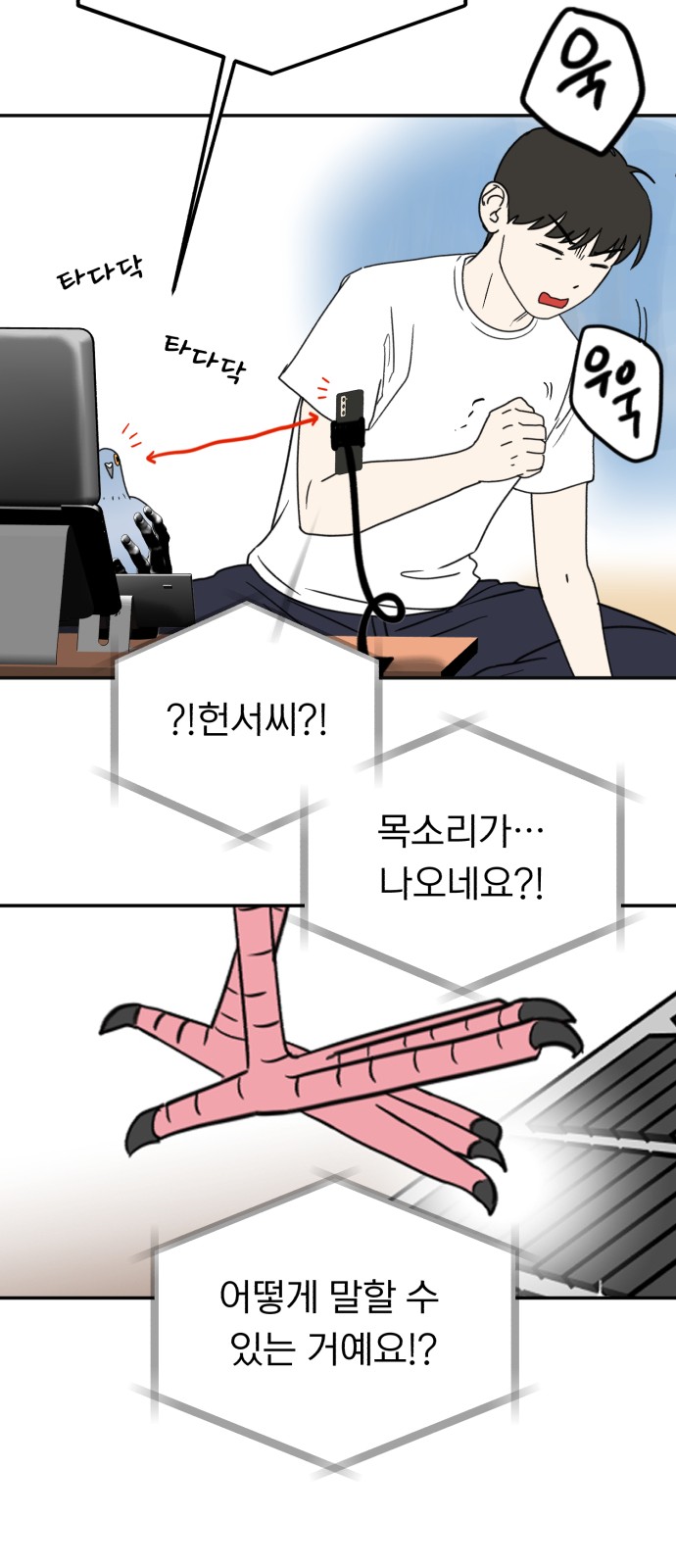 21 페이지