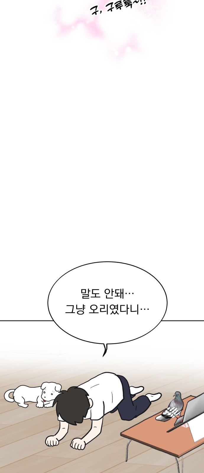 39 페이지