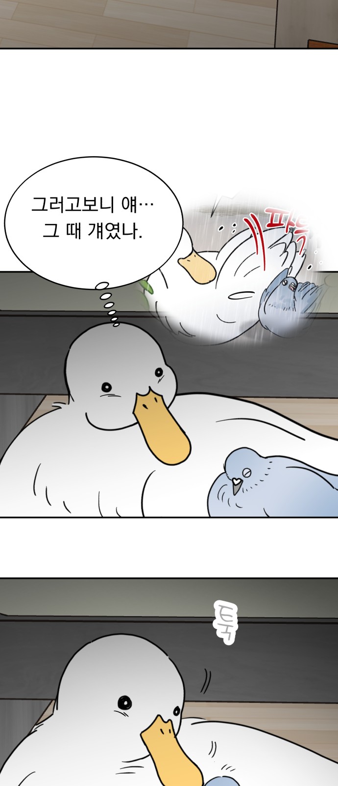 47 페이지