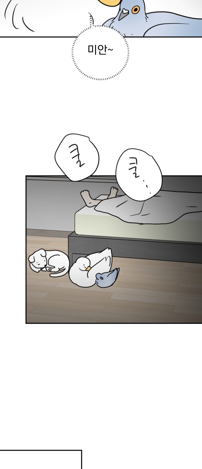 48 페이지