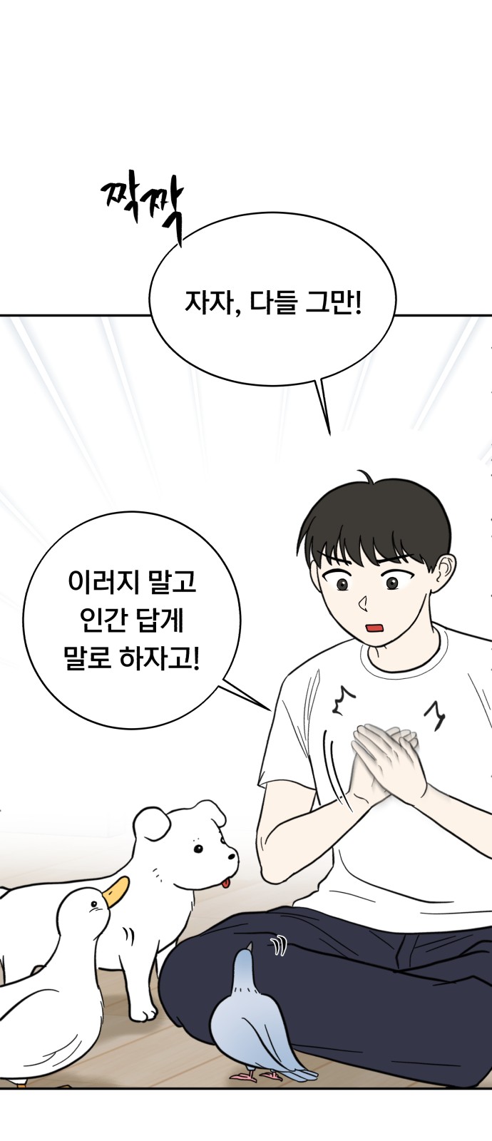 6 페이지