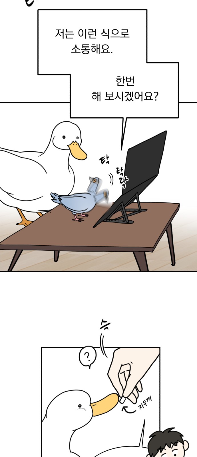 8 페이지