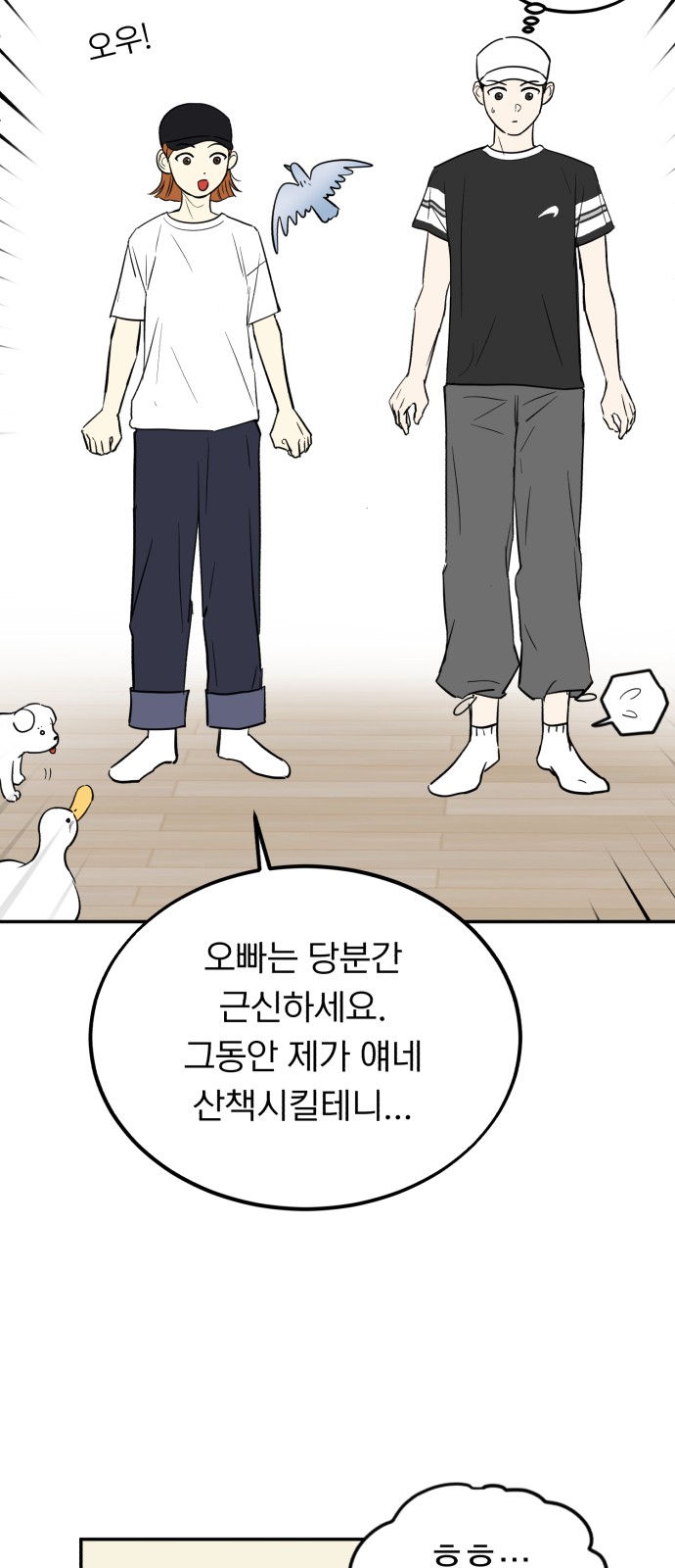 33 페이지