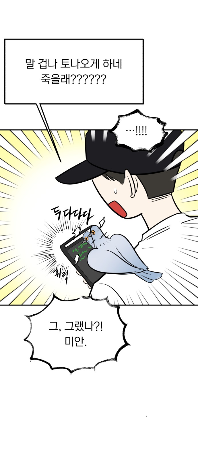 8 페이지