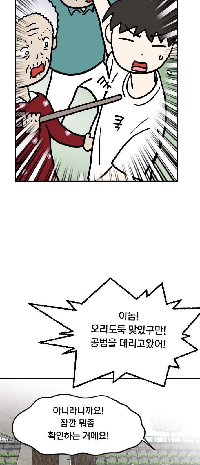 46 페이지