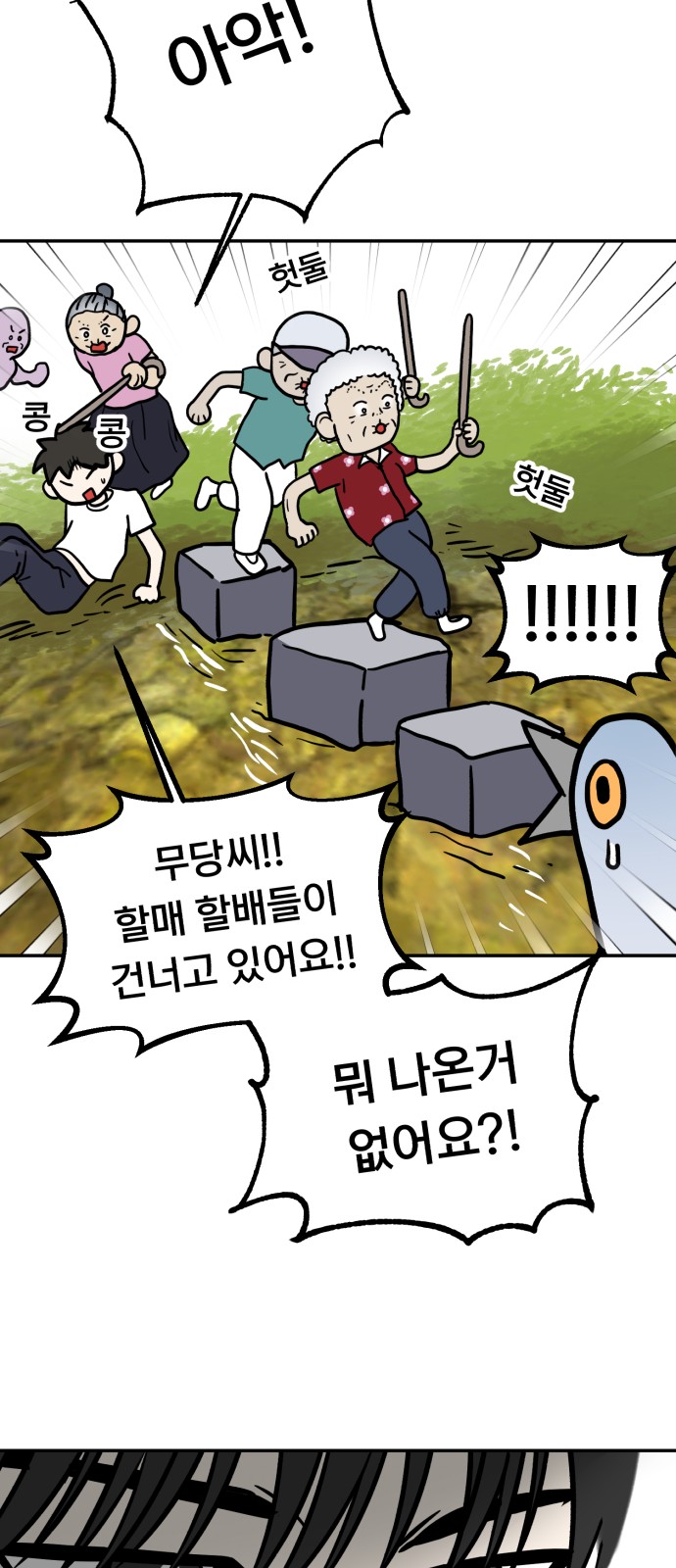 53 페이지
