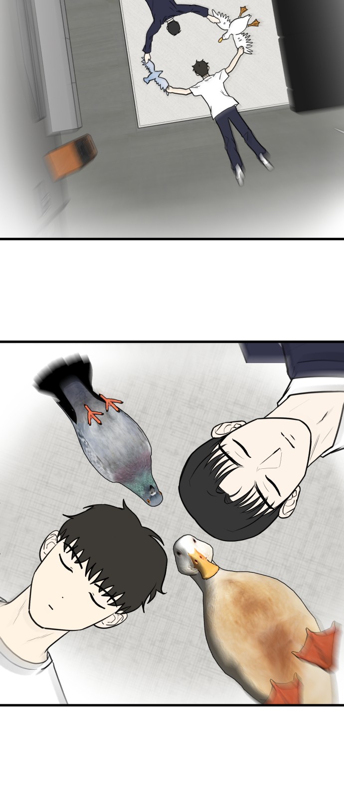 17 페이지