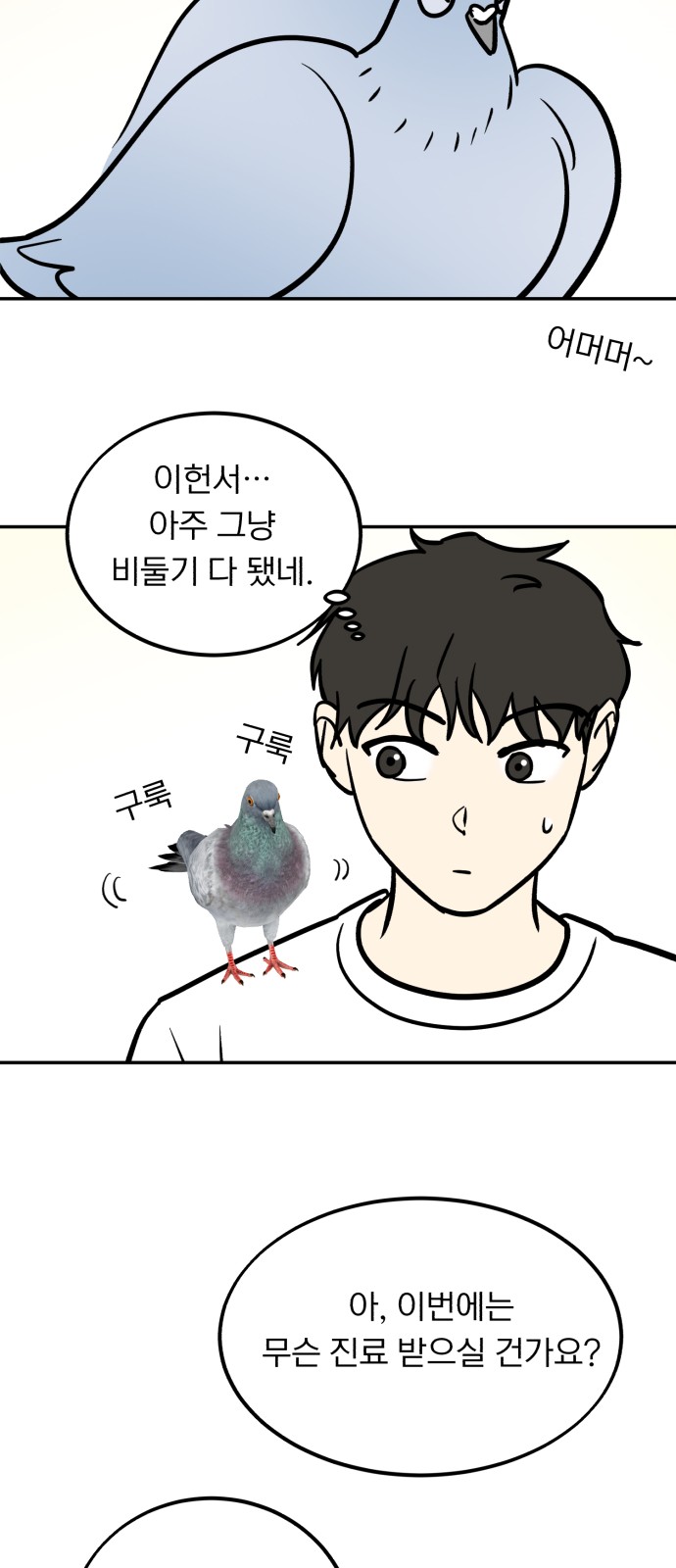 31 페이지
