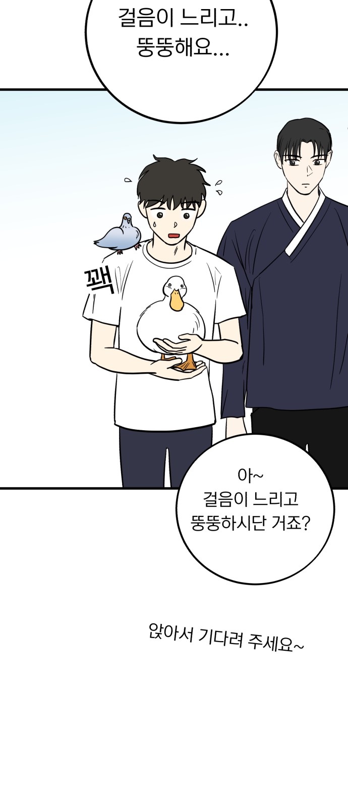 33 페이지