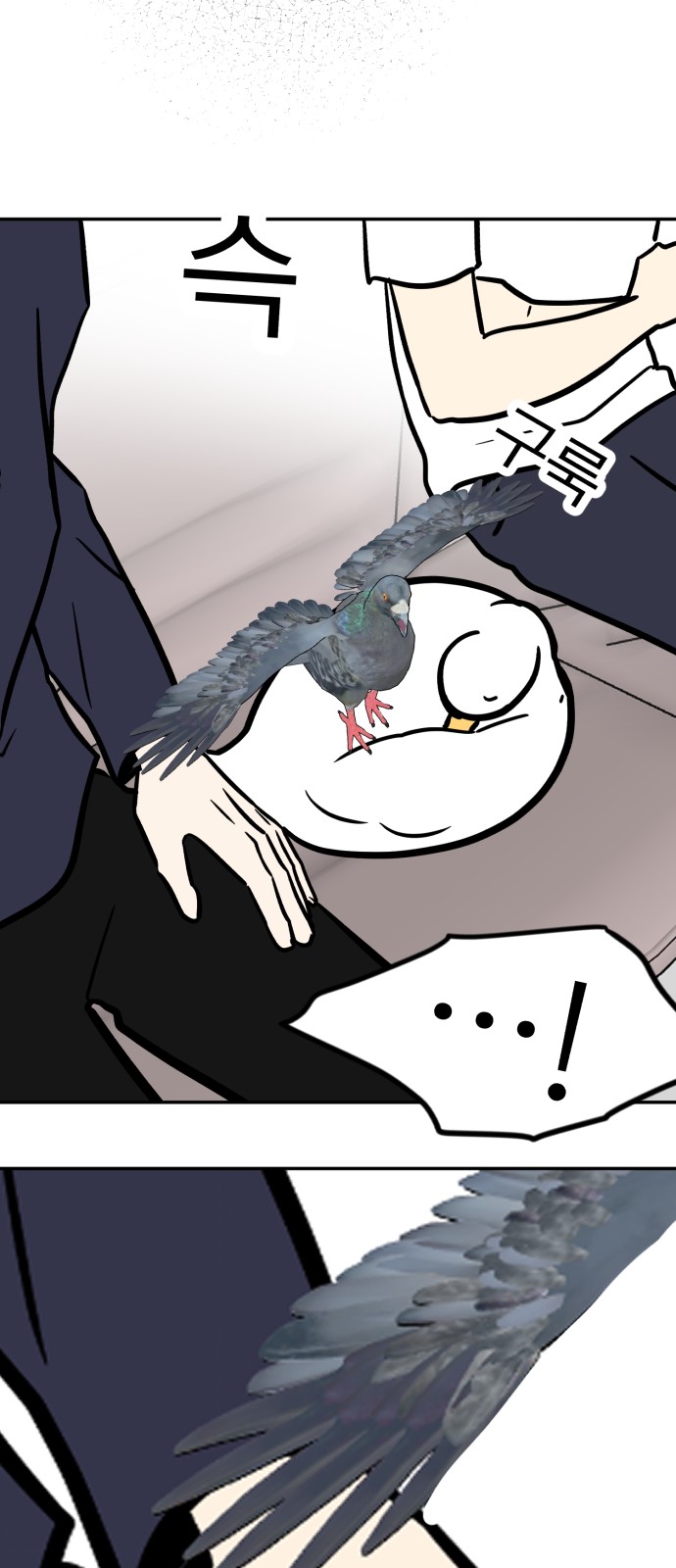 41 페이지