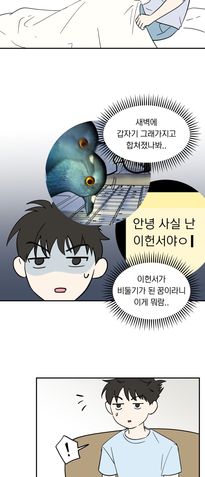 16 페이지