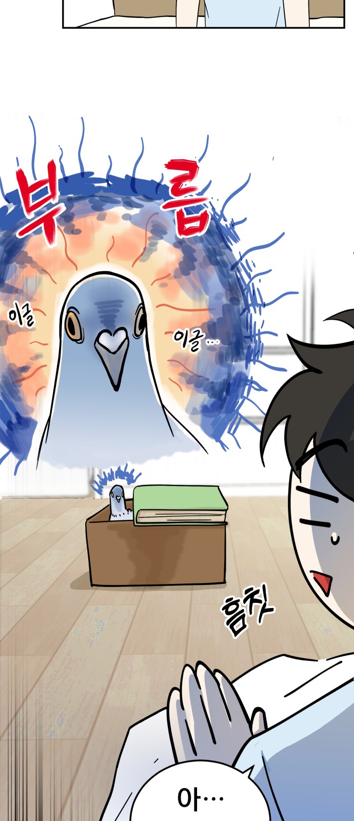 17 페이지