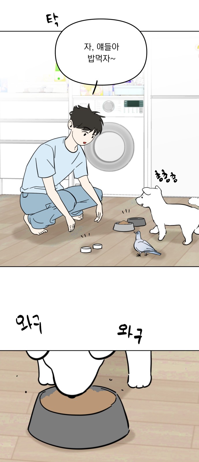 19 페이지