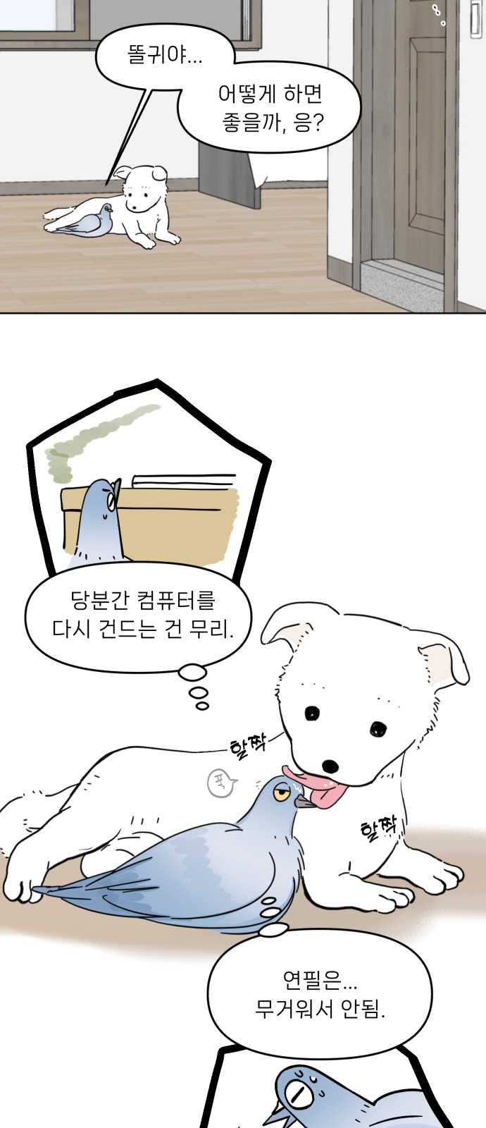 29 페이지