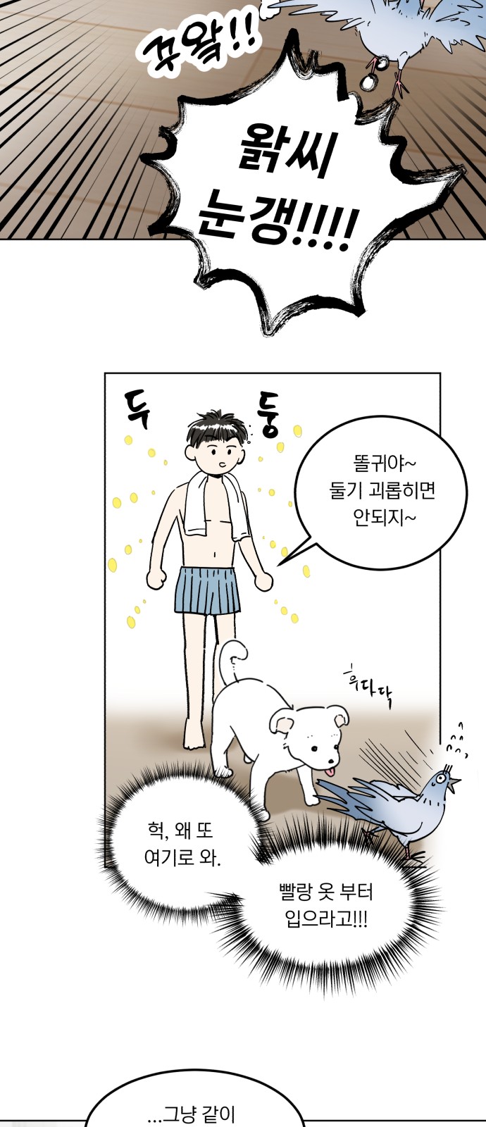 33 페이지