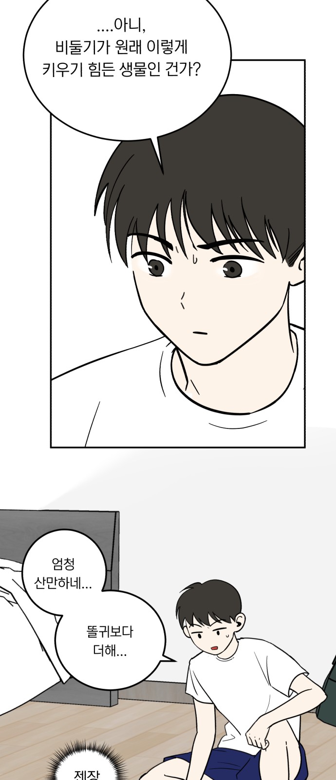 40 페이지