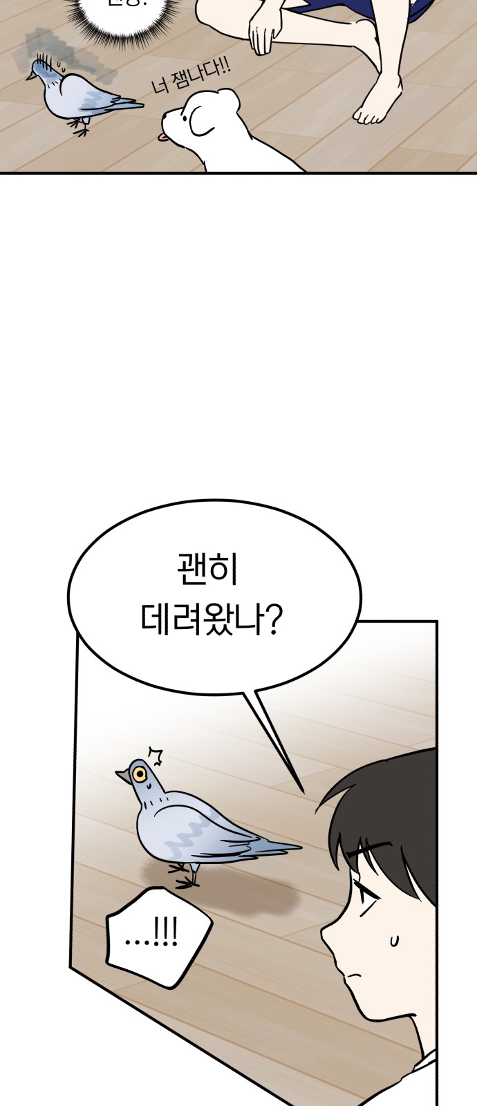 41 페이지