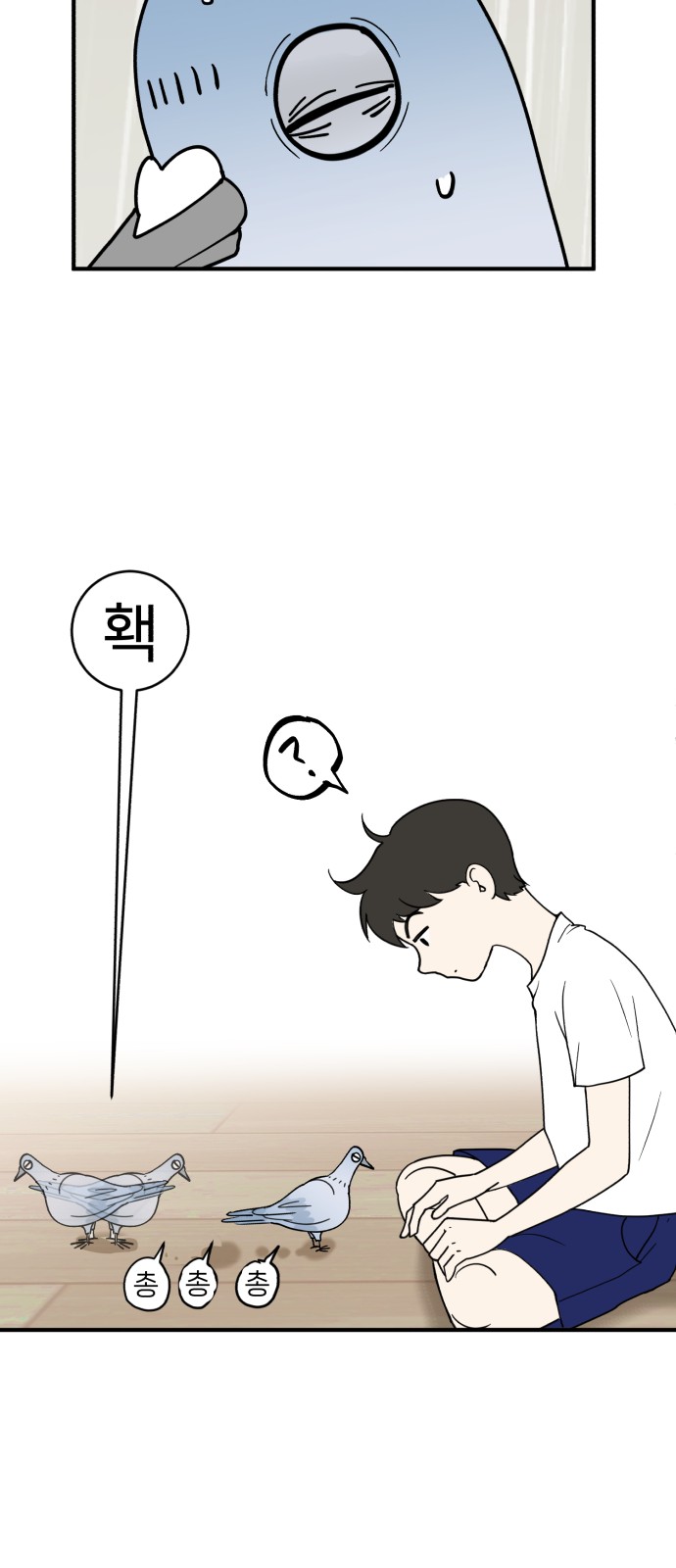 43 페이지