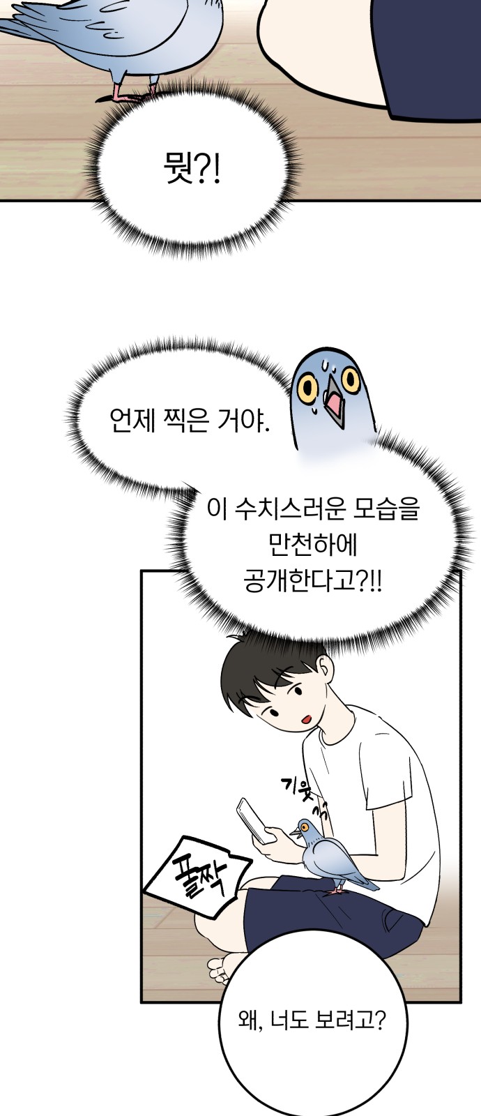 47 페이지