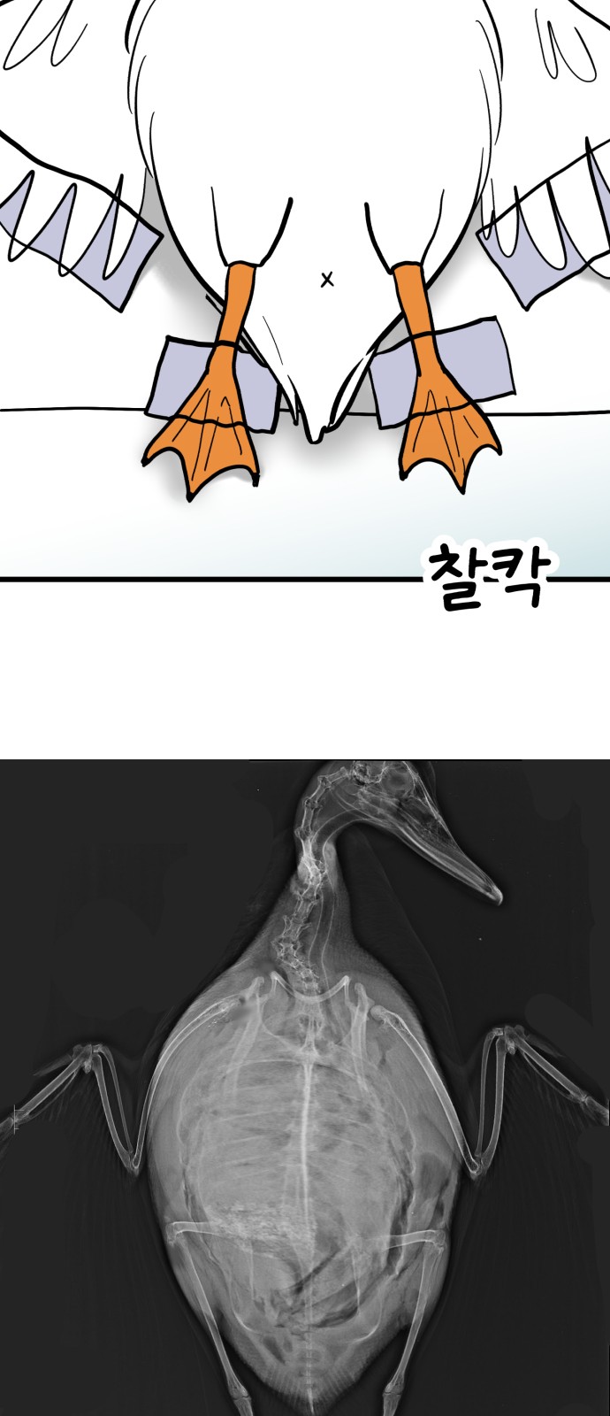 23 페이지