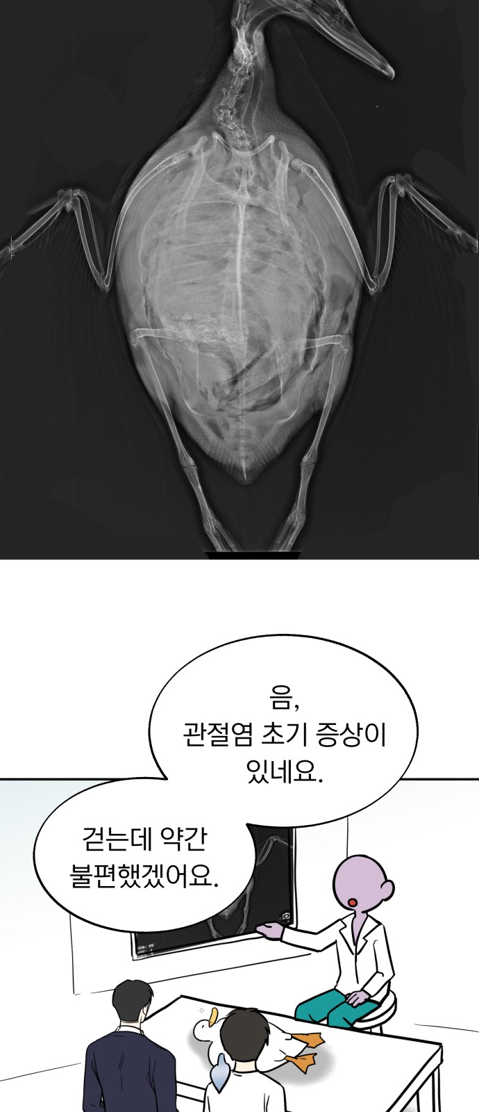 40 페이지