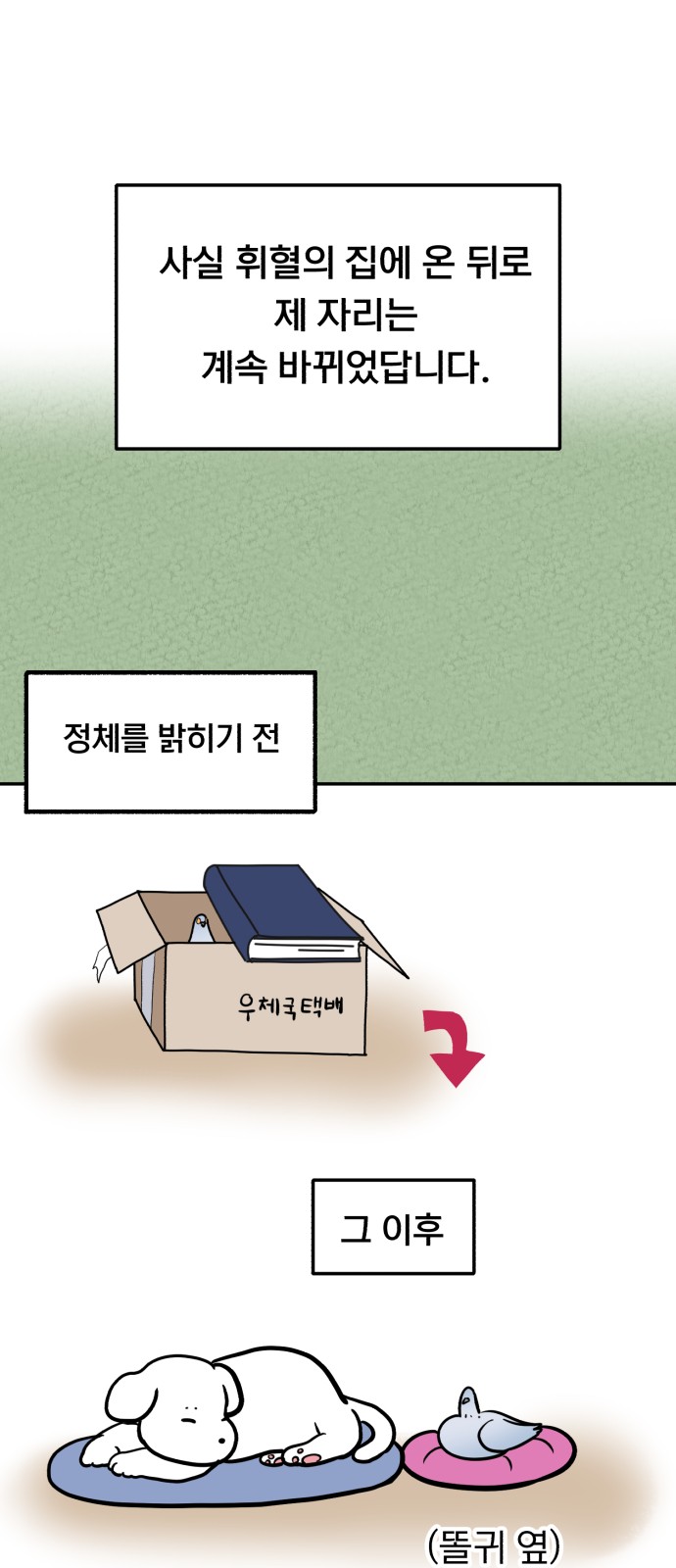 11 페이지