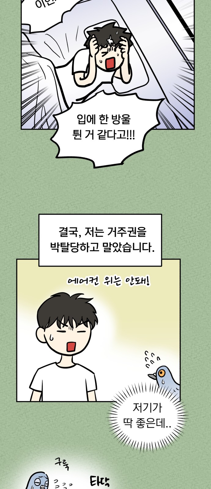 17 페이지
