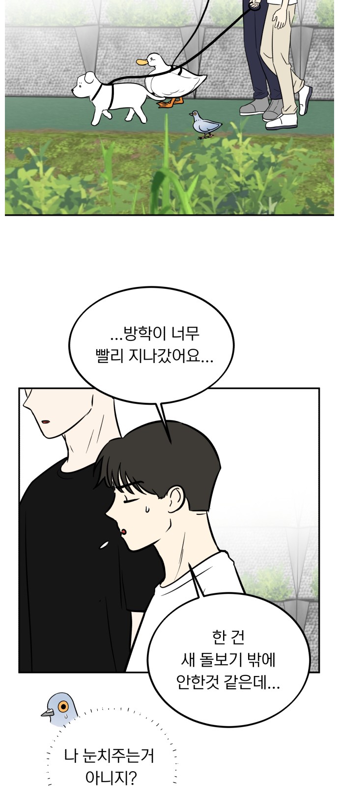 39 페이지