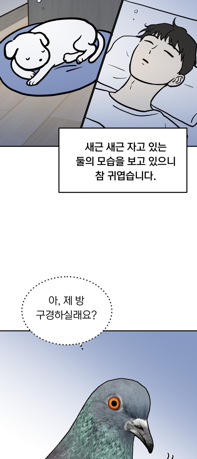 5 페이지