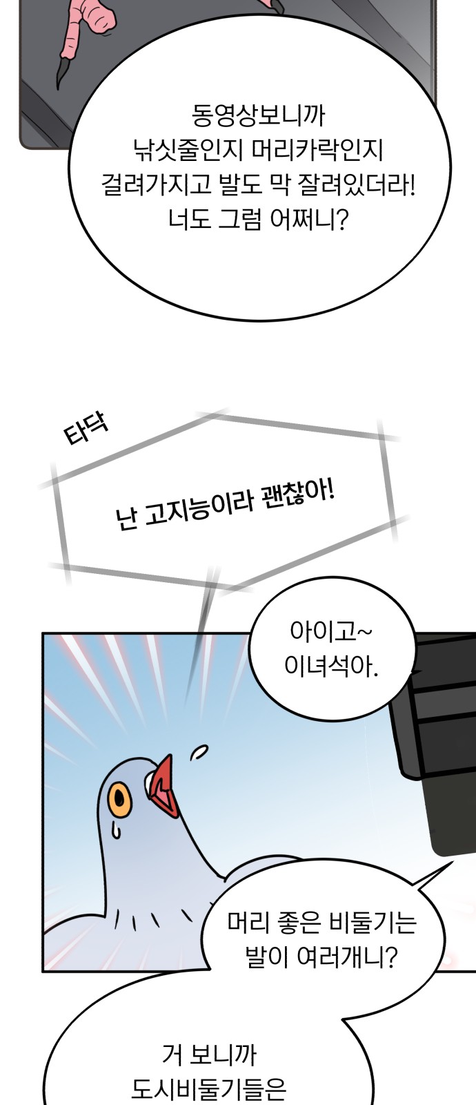 40 페이지