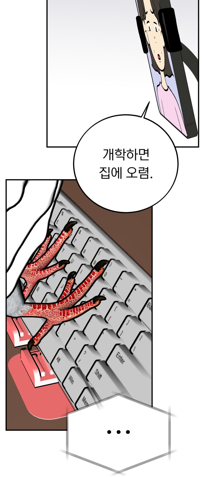 43 페이지