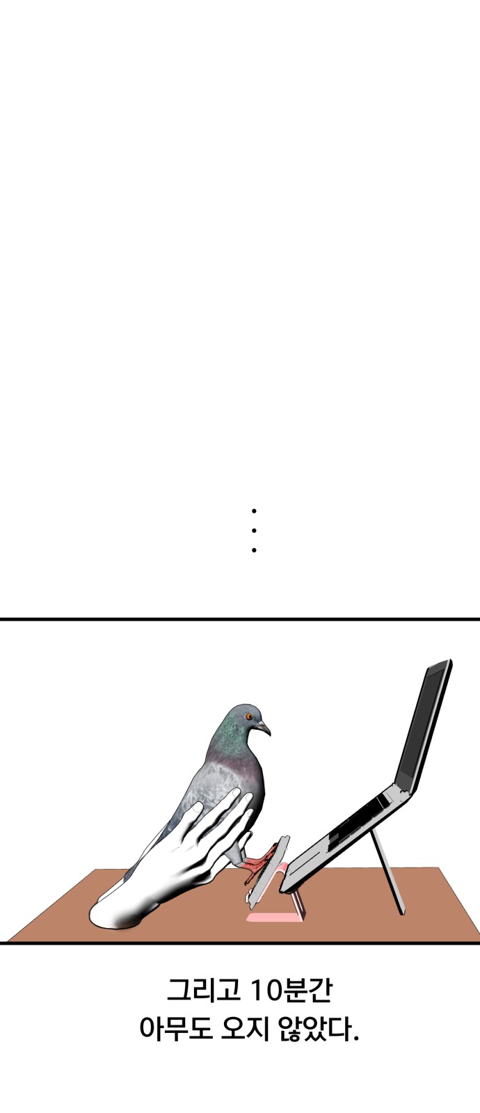 43 페이지