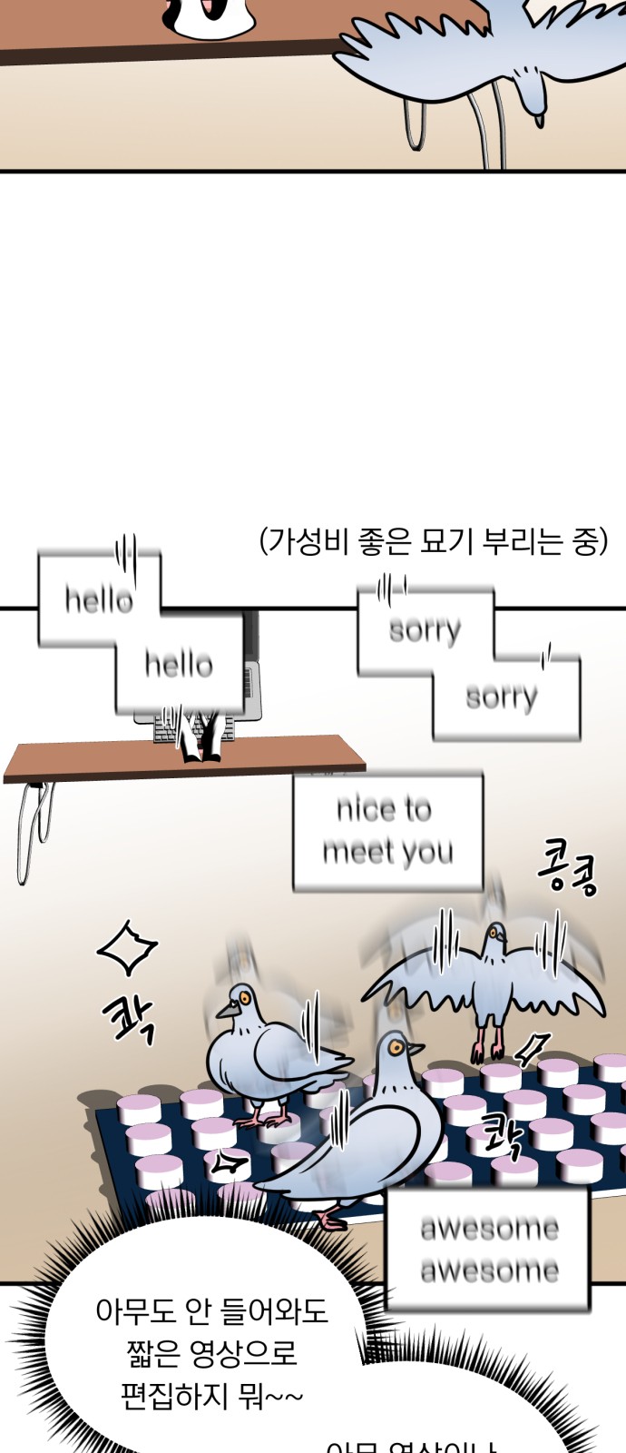 45 페이지