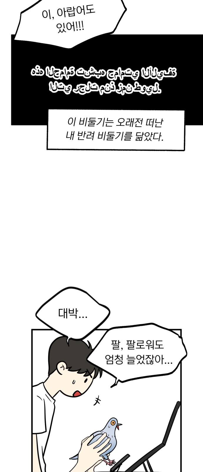 12 페이지