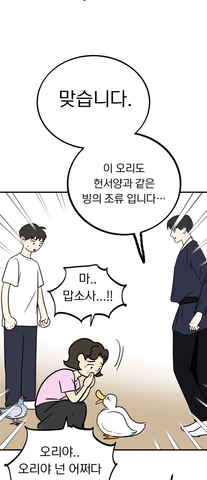 45 페이지